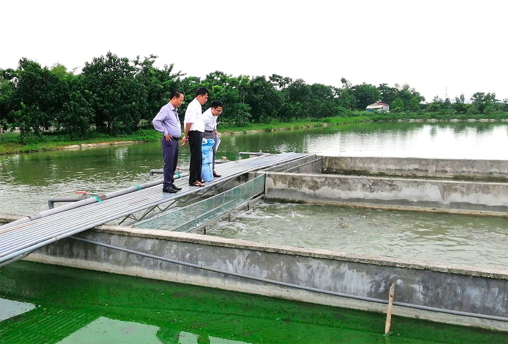 Ứng Hòa xây dựng nông thôn mới văn minh, hiện đại -0