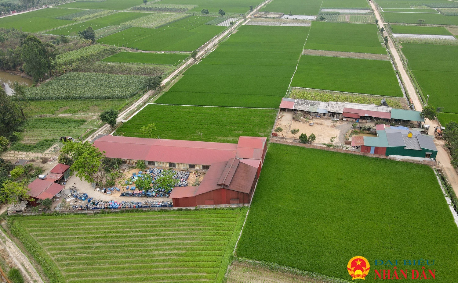 Vụ Chính quyền địa phương để công trình vi phạm xây trên đất lúa nhiều năm không xử lý: Các công trình trái phép tiếp tục “mọc như nấm sau mưa”. -0