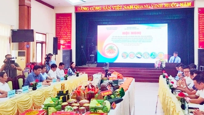 Kết nối tiêu thụ cà rốt và nông sản tỉnh Hải Dương -0