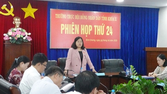 Phó Chủ tịch HĐND tỉnh Nguyễn Trường Nhật Phượng kết luận phiên họp - ẢNH THẢO LAM
