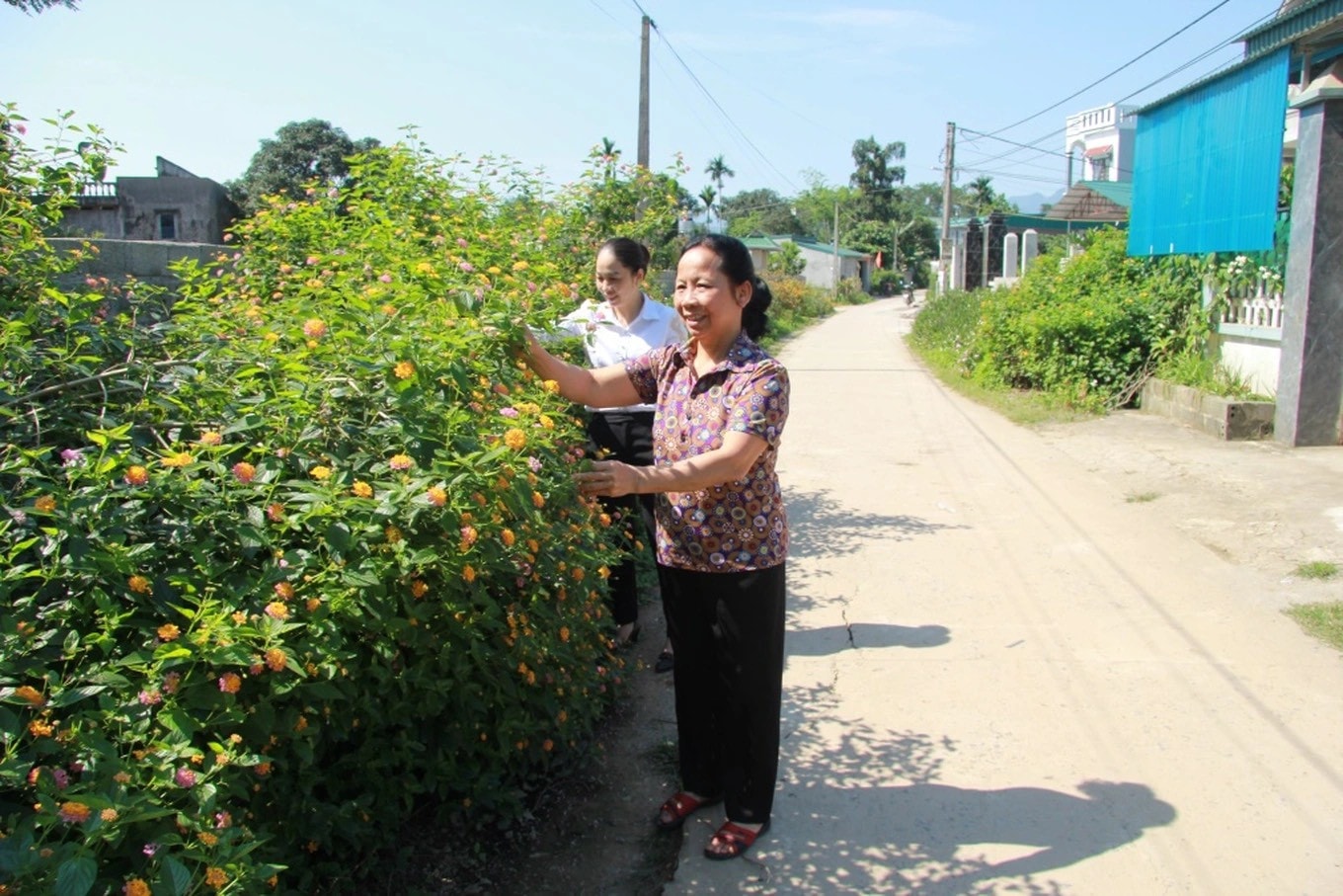 Dấu ấn thực hiện mục tiêu giảm nghèo của tỉnh Hòa Bình -0