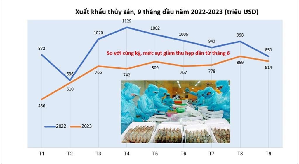 Mức sụt giảm xuất khẩu thủy sản đang thu hẹp dần. Nguồn: VASEP