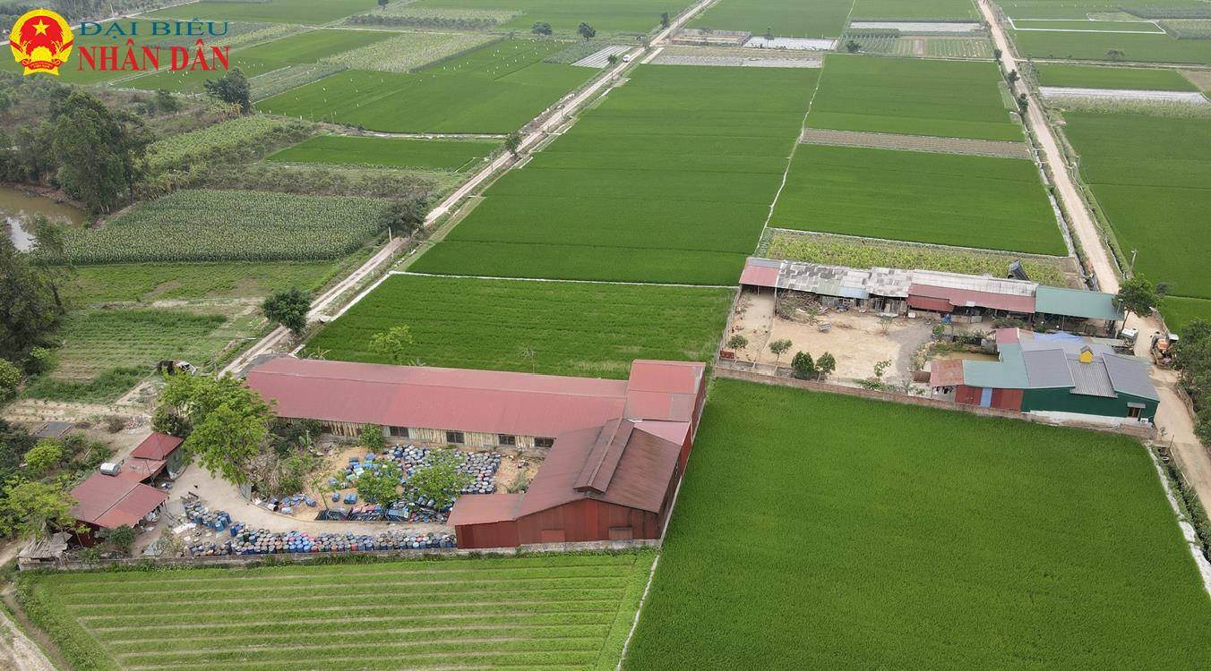 Chủ tịch UBND thành phố Hà Nội chỉ đạo huyện Sóc Sơn kiểm tra, xử lý nghiêm sai phạm Báo Đại biểu Nhân dân phản ánh -0