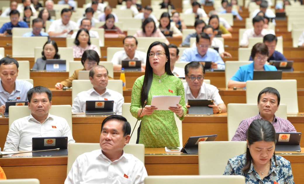 Tránh việc lợi dụng chính sách đầu cơ đất nông nghiệp -0