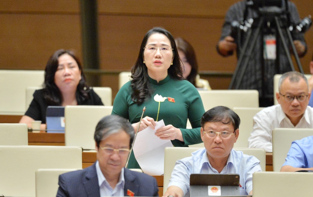 Cân nhắc kỹ quy định việc thừa kế, tặng cho, chuyển nhượng quyền sử dụng đất -0