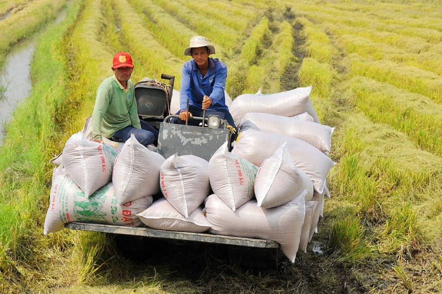 Người nông dân phải thay đổi tư duy sản xuất, nắm bắt đúng yêu cầu của thị trường. Nguồn: ITN 