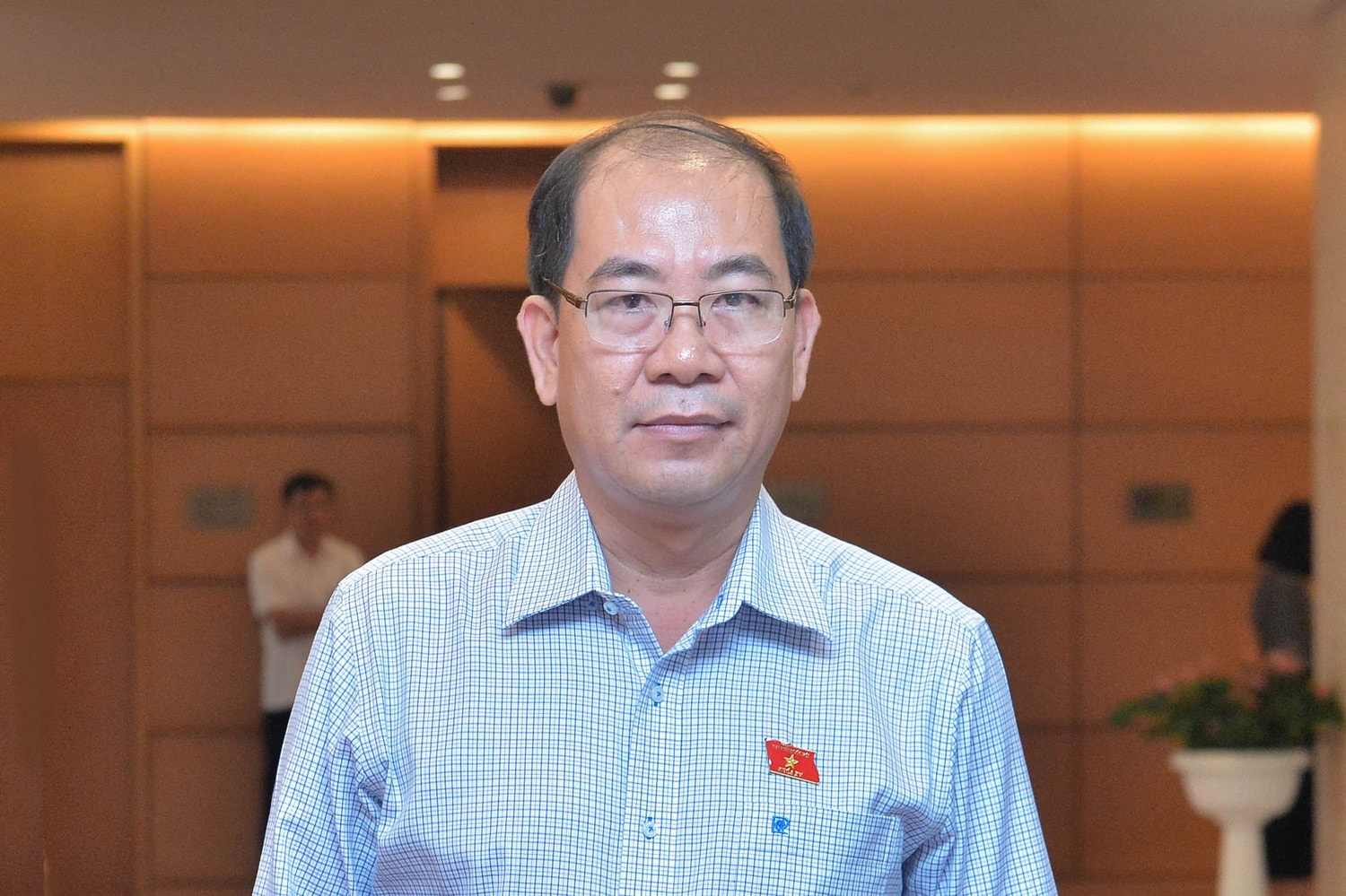 ĐBQH Nguyễn Việt Thắng (Kiên Giang): Có nên yêu cầu thành lập tổ chức kinh tế khi nhận chuyển nhượng đất trồng lúa? -0