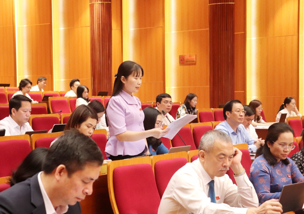 Đại biểu HĐND tỉnh phát biểu thảo luận tại kỳ họp - ảnh: Q.M.G