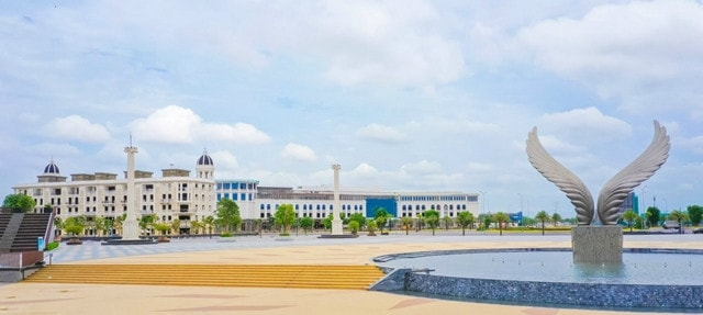 Từ chỉ đạo của Chính phủ đến nỗ lực của địa phương -0