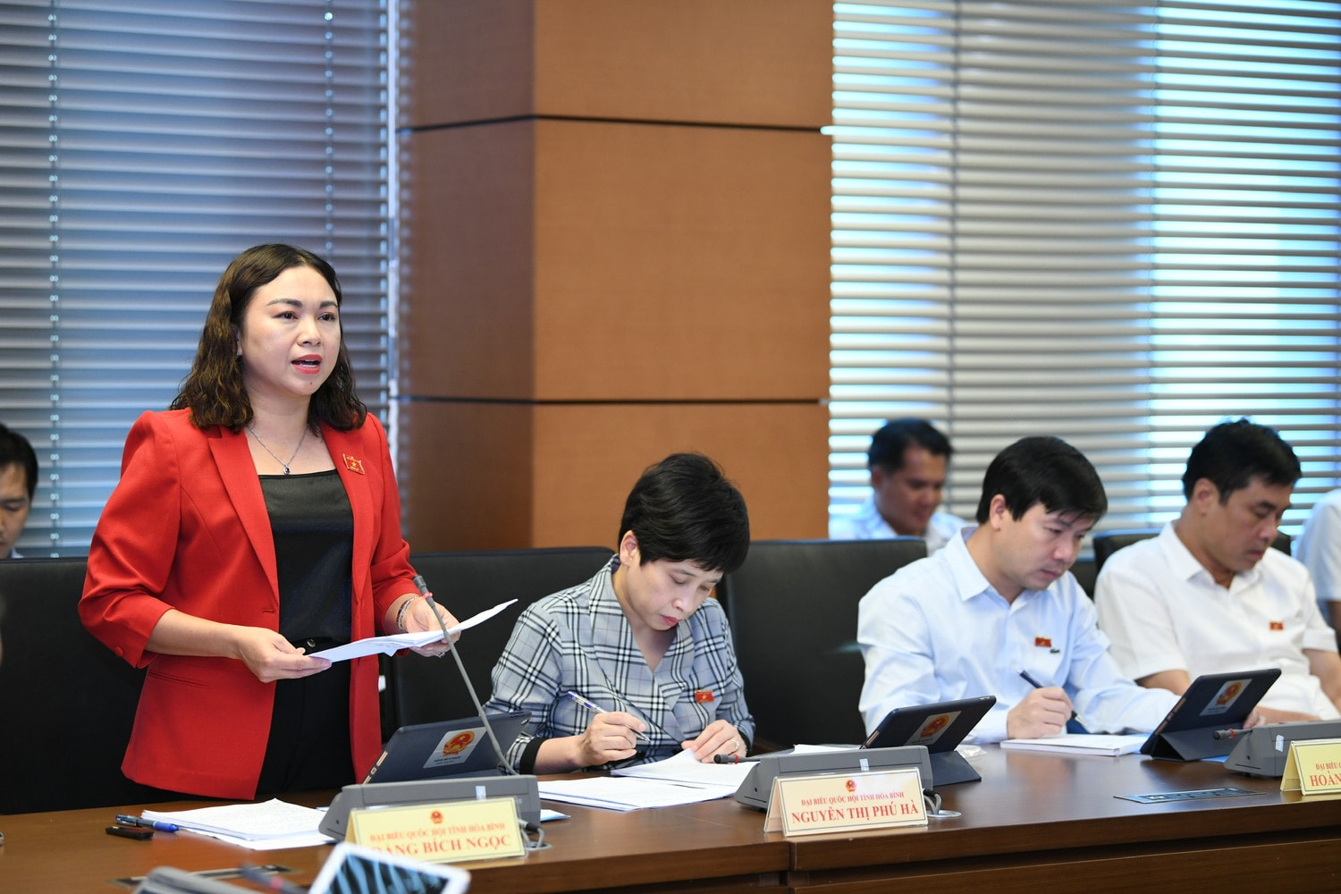 Thảo luận Dự án Luật Sửa đổi, bổ sung một số điều của Luật Đấu giá tài sảnBảo đảm quyền lợi cho người tham gia đấu giá -0