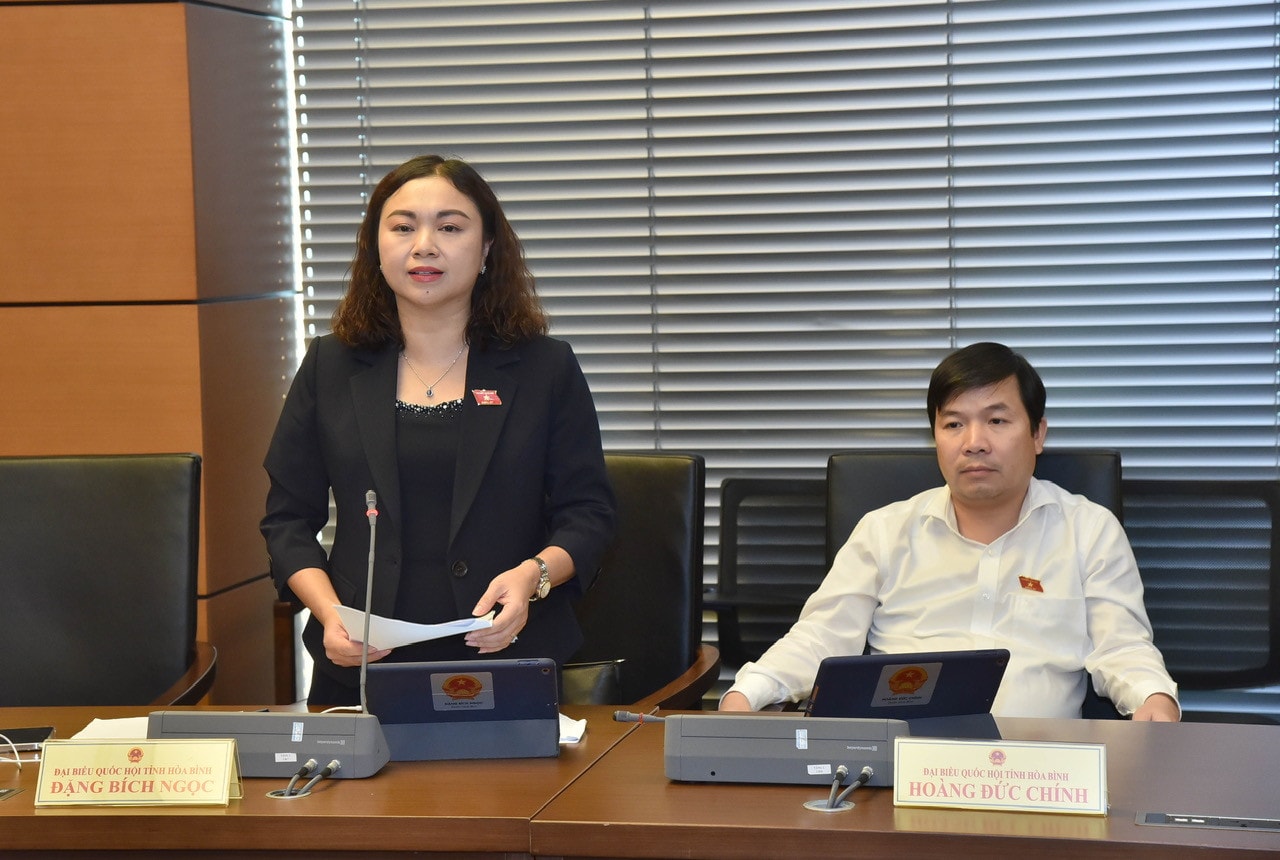 ĐBQH Đặng Bích Ngọc (Hòa Bình): Dự thảo Luật Tổ chức Tòa án nhân dân (sửa đổi) sẽ góp phần đẩy mạnh cải cách tư pháp -0