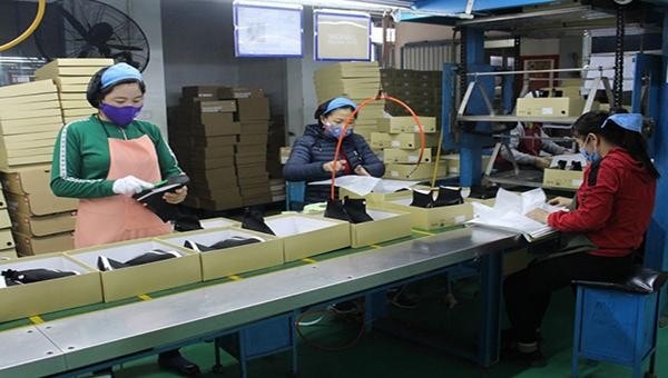 Phú Thọ: Trên 40 nghìn lượt người được tư vấn giới thiệu việc làm -0