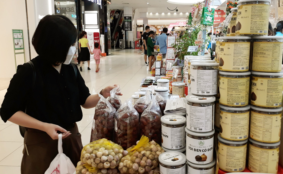 Trợ lực để Doanh nghiệp Việt tìm kiếm cơ hội tại thị trường nội địa -0