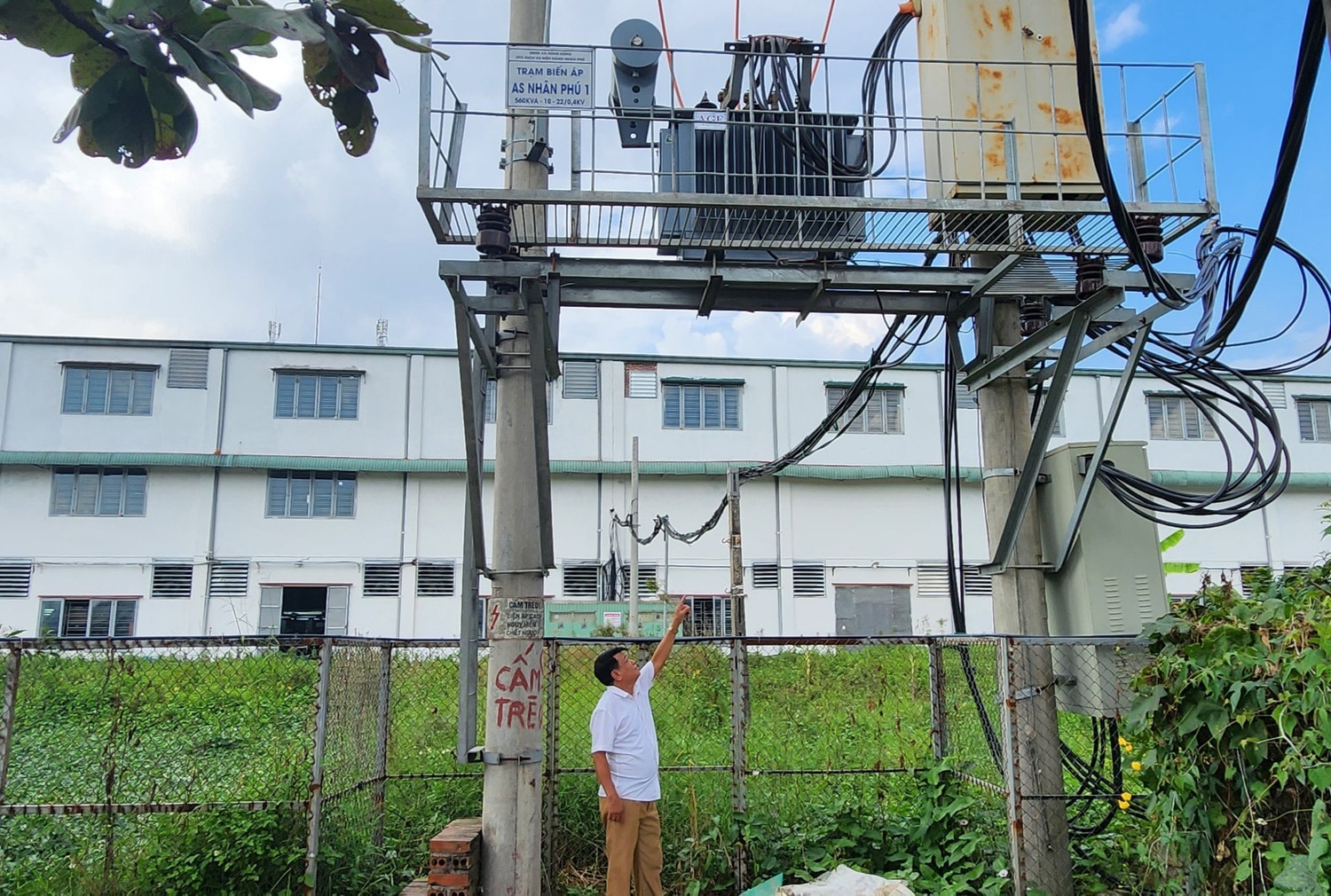 Hợp tác xã duy nhất chưa bàn giao lưới điện hạ áp nông thôn ở Thái Bình: Bị xử phạt hàng trăm triệu đồng, buộc tháo dỡ 3 trạm biến áp -0