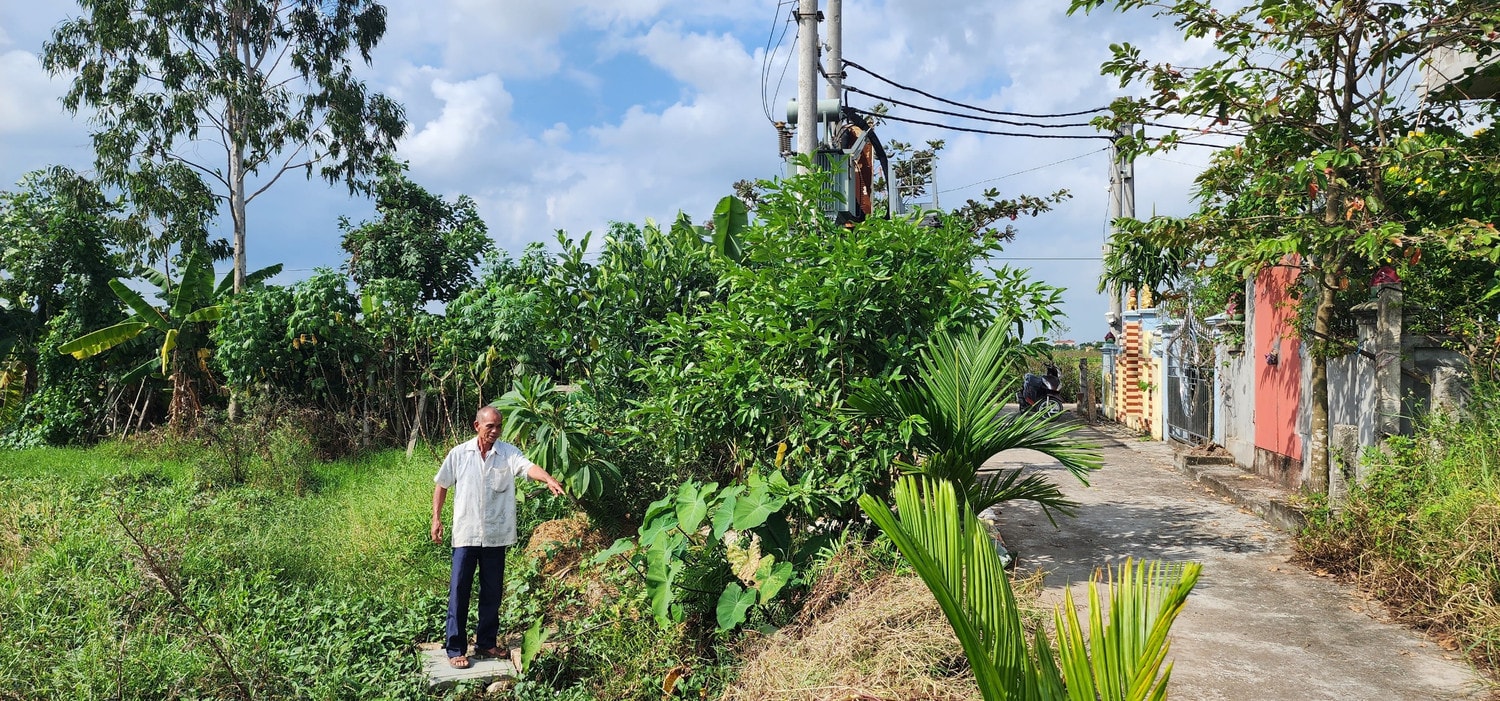 Hợp tác xã duy nhất chưa bàn giao lưới điện hạ áp nông thôn ở Thái Bình: Bị xử phạt hàng trăm triệu đồng, buộc tháo dỡ 3 trạm biến áp -0