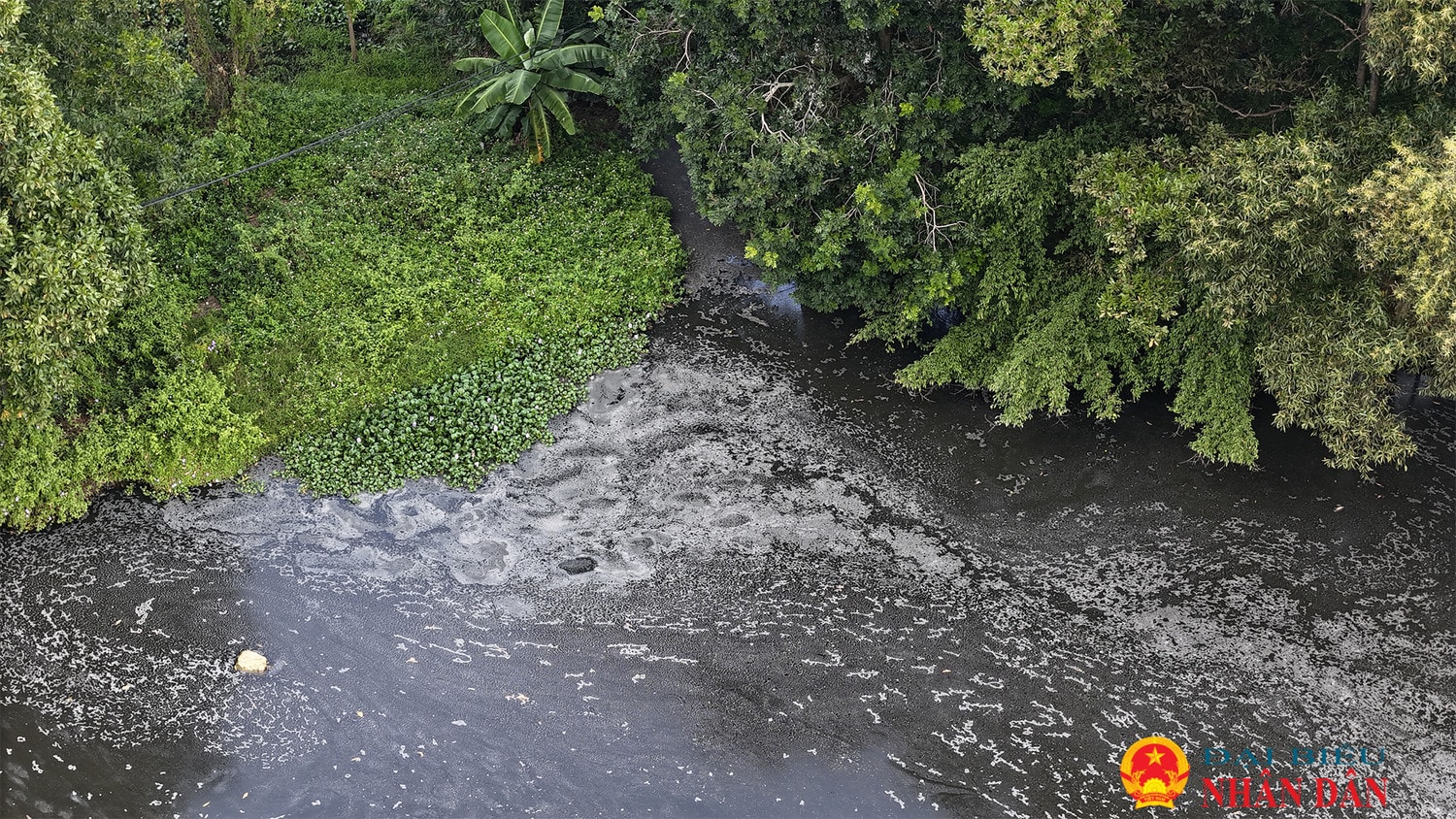 Hà Nội: Đề nghị xử lý trại lợn xả thải gây ô nhiễm môi trường “tra tấn” người dân suốt nhiều năm -0