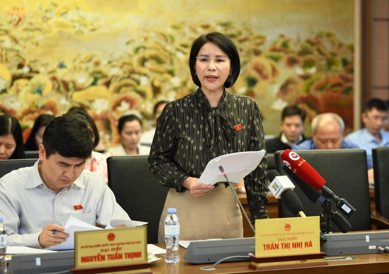 ĐBQH Trần Thị Nhị Hà (TP.Hà Nội) phát biểu tại tổ