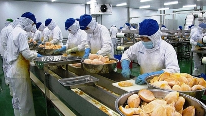 Ứng dụng công nghệ chế biến nông sản sau thu hoạch