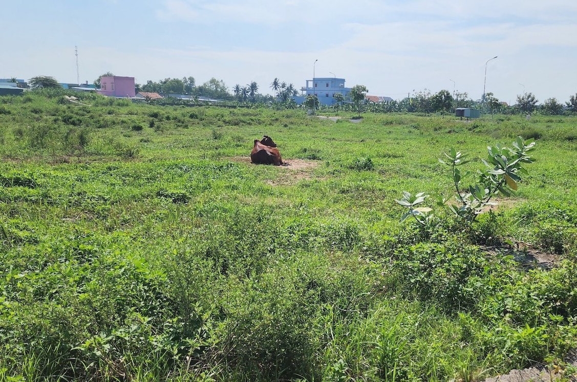 Cảnh hoang tàn tại 