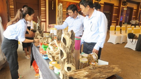 Quảng Bình tăng cường ứng dụng truy xuất nguồn gốc sản phẩm OCOP -0