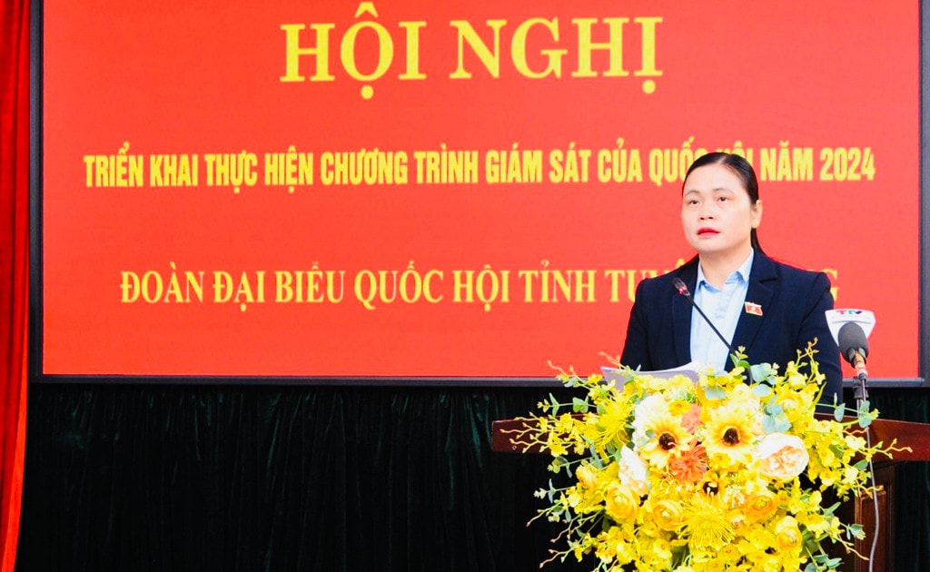 Chú trọng tái giám sát, đôn đốc đến cùng để nâng cao hiệu lực, hiệu quả -0