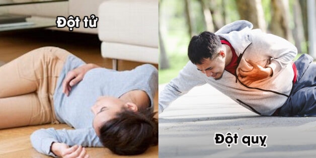 dot-quy-va-dot-tu-e1697167832741.jpg -0