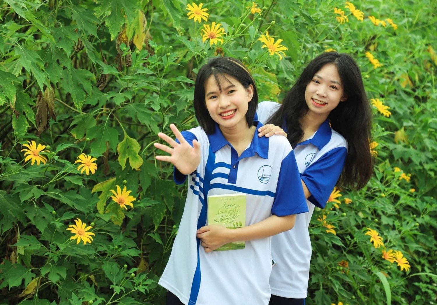 Đại học Quốc gia Hà Nội rực rỡ mùa hoa dã quỳ -0