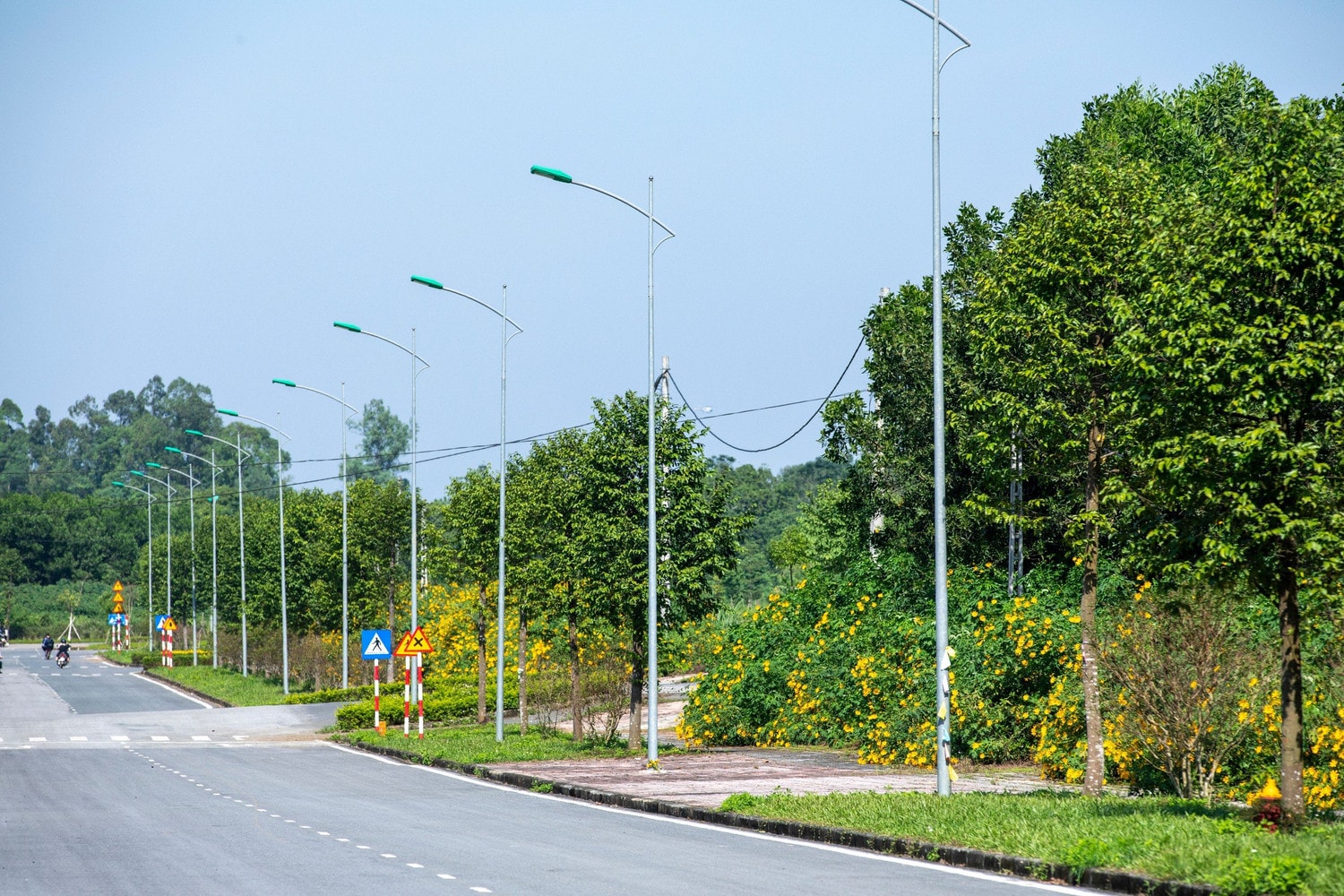 Đại học Quốc gia Hà Nội rực rỡ mùa hoa dã quỳ -0