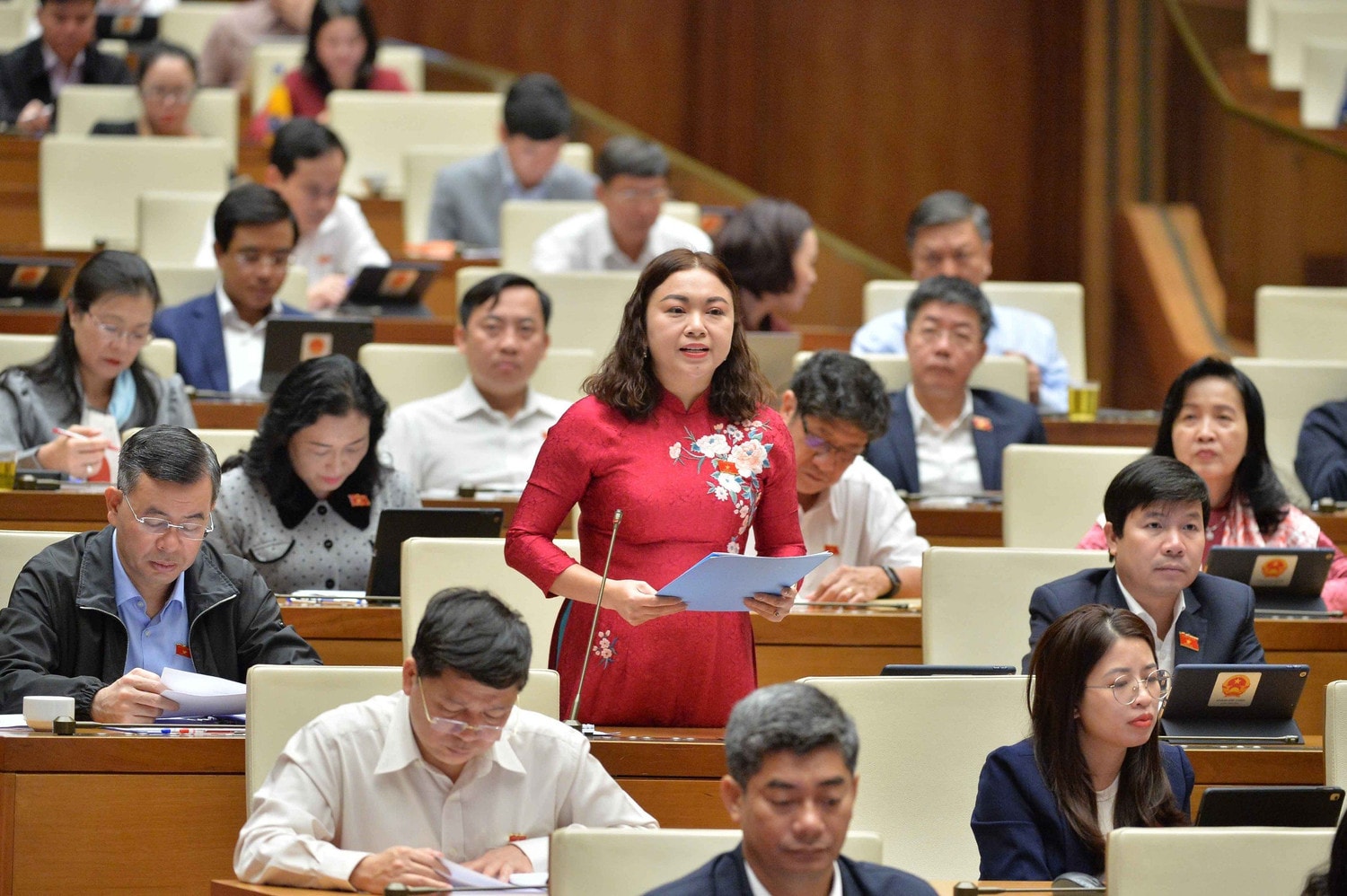 ĐBQH Đặng Bích Ngọc (Hòa Bình): Giải quyết “tận gốc” các kiến nghị của cử tri -0