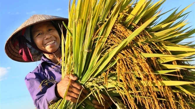 Tỉnh Hà Giang xác định lấy người dân là chủ thể, là lực lượng nòng cốt trong xây dựng NTM. Nguồn: ITN 