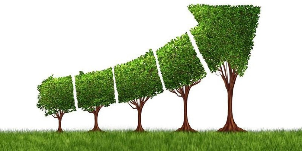 Quy định Bộ chỉ tiêu thống kê tăng trưởng xanh -0