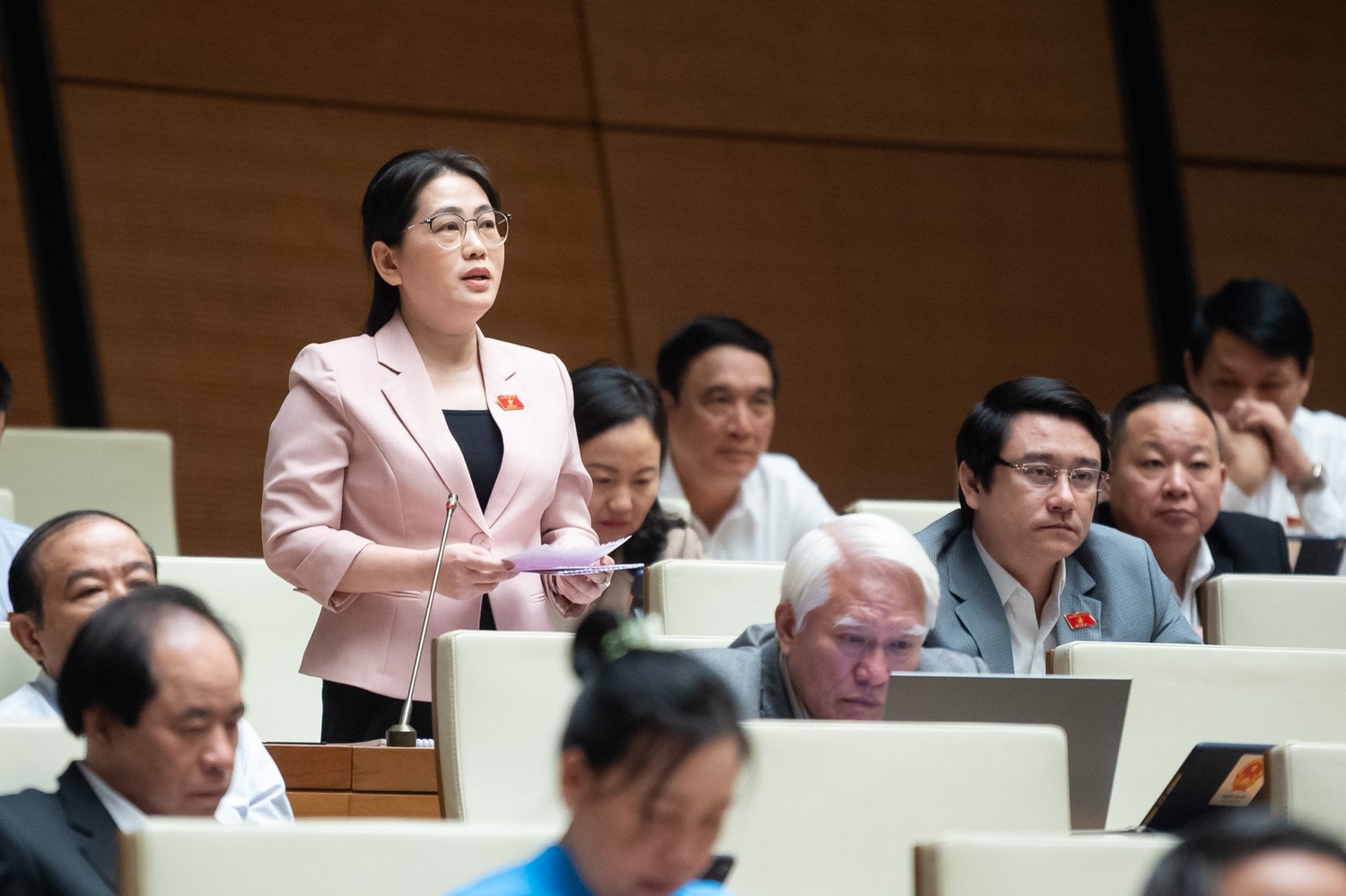 ĐBQH Phan Thị Nguyệt Thu (Hà Tĩnh): Khuyến khích người dân hòa giải, đối thoại khi giải quyết tranh chấp -0