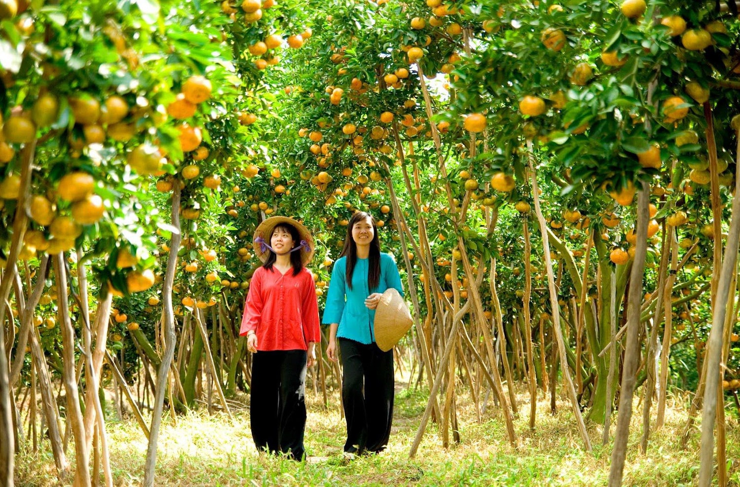 Bến Tre: Phát triển du lịch nông thôn trong xây dựng nông thôn mới -0
