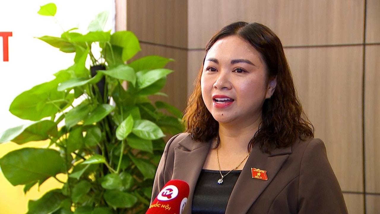 ĐBQH Đặng Bích Ngọc (Hòa Bình): Đánh giá kỹ lưỡng tác động của việc thành lập mới các Tòa án nhân dân sơ thẩm chuyên biệt -0