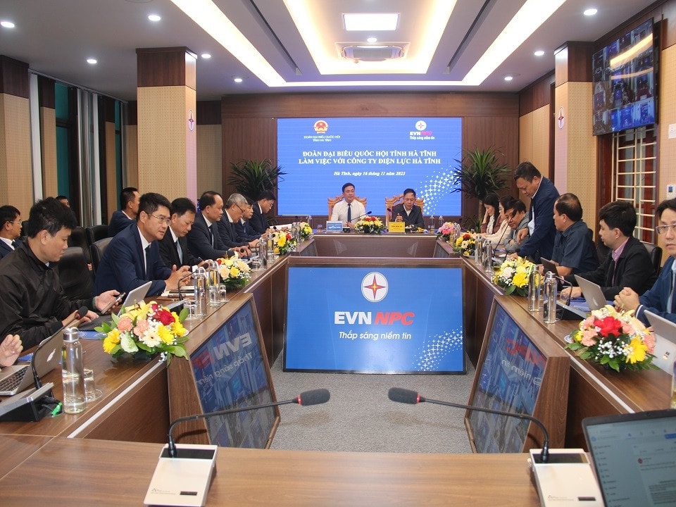 Đoàn Đại biểu Quốc hội tỉnh Hà Tĩnh làm việc với ngành điện Hà Tĩnh về hoạt động điện -0