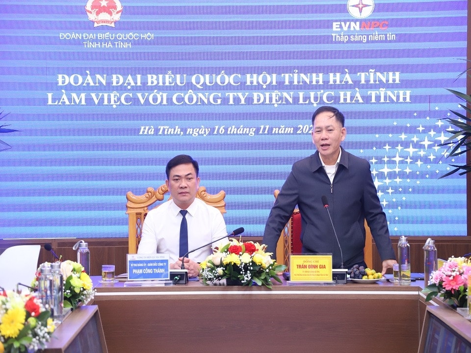 Đoàn Đại biểu Quốc hội tỉnh Hà Tĩnh làm việc với ngành điện Hà Tĩnh về hoạt động điện -0