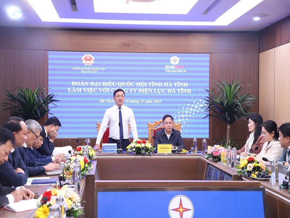 Đoàn Đại biểu Quốc hội tỉnh Hà Tĩnh làm việc với ngành điện Hà Tĩnh về hoạt động điện -0