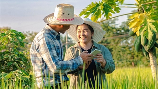 Chuyển đổi số trong xây dựng nông thôn mới hướng tới nông thôn mới thông minh. Nguồn: ITN 
