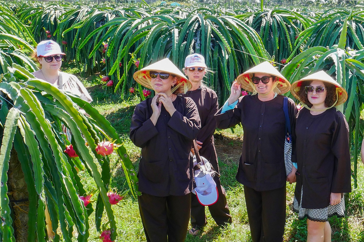 Phát triển du lịch nông thôn gắn với xây dựng nông thôn mới -0