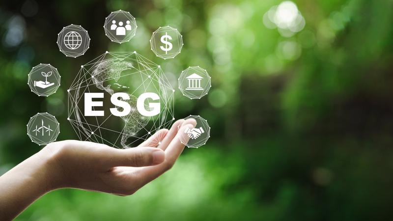 Kiểm toán nội bộ bảo đảm chiến lược ESG phù hợp mục tiêu -0