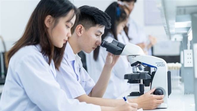 Y tế là một trong những ngành nghề quan trọng tại Việt Nam
