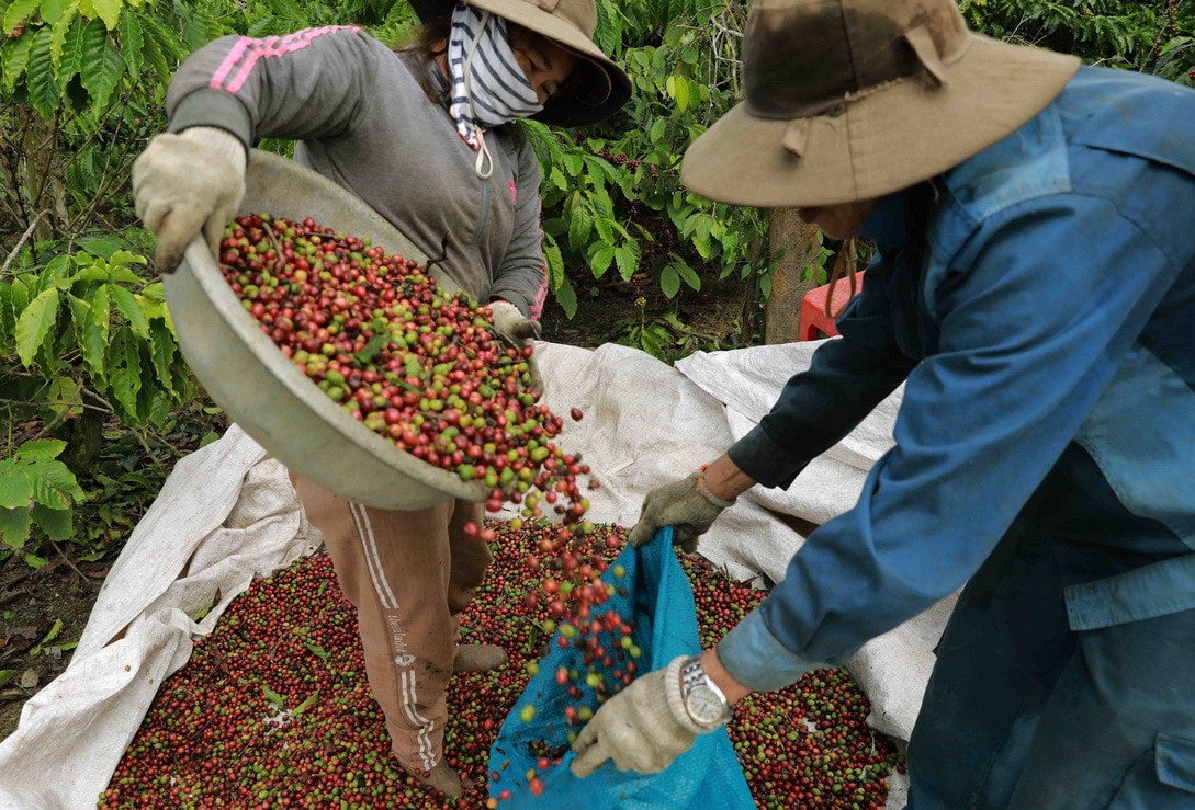 NHCSXH Đắk Lắk luôn đồng hành với đồng bào. Ảnh: TTXVN