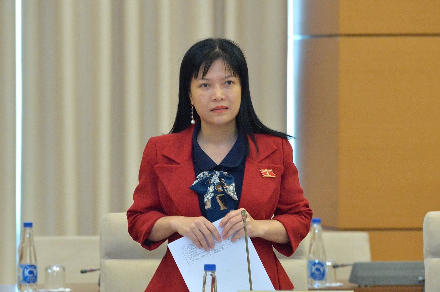 Phó Chủ tịch Quốc hội Nguyễn Khắc Định dự Phiên họp toàn thể của Ủy ban Pháp luật -0