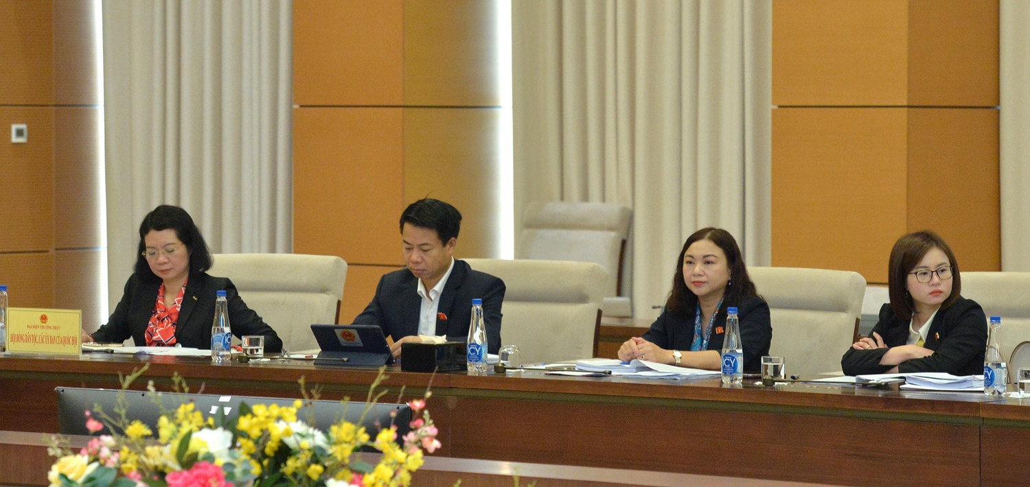 Phó Chủ tịch Quốc hội Nguyễn Khắc Định dự Phiên họp toàn thể của Ủy ban Pháp luật -0