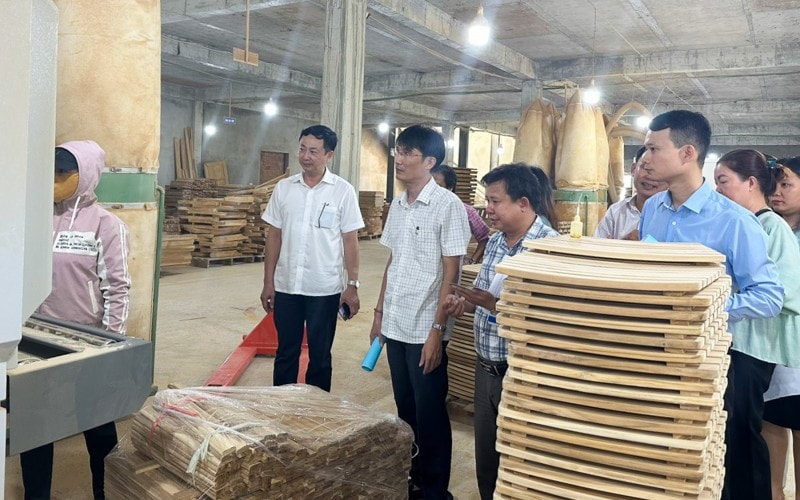Khuyến công là một trong những giải pháp trọng tâm chuyển dịch cơ cấu kinh tế của Bình Định