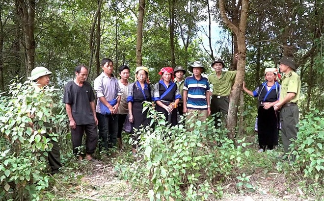 Người dân hưởng lợi, diện tích rừng tăng -0