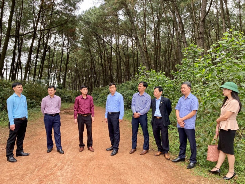 Bài 1: “Quả ngọt” từ giám sát quyền lực ảnh 1 Bài 1: “Quả ngọt” từ giám sát quyền lực -0