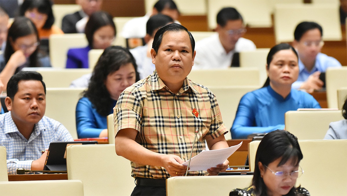 Tránh khoảng trống pháp luật về đấu giá tài sản -0