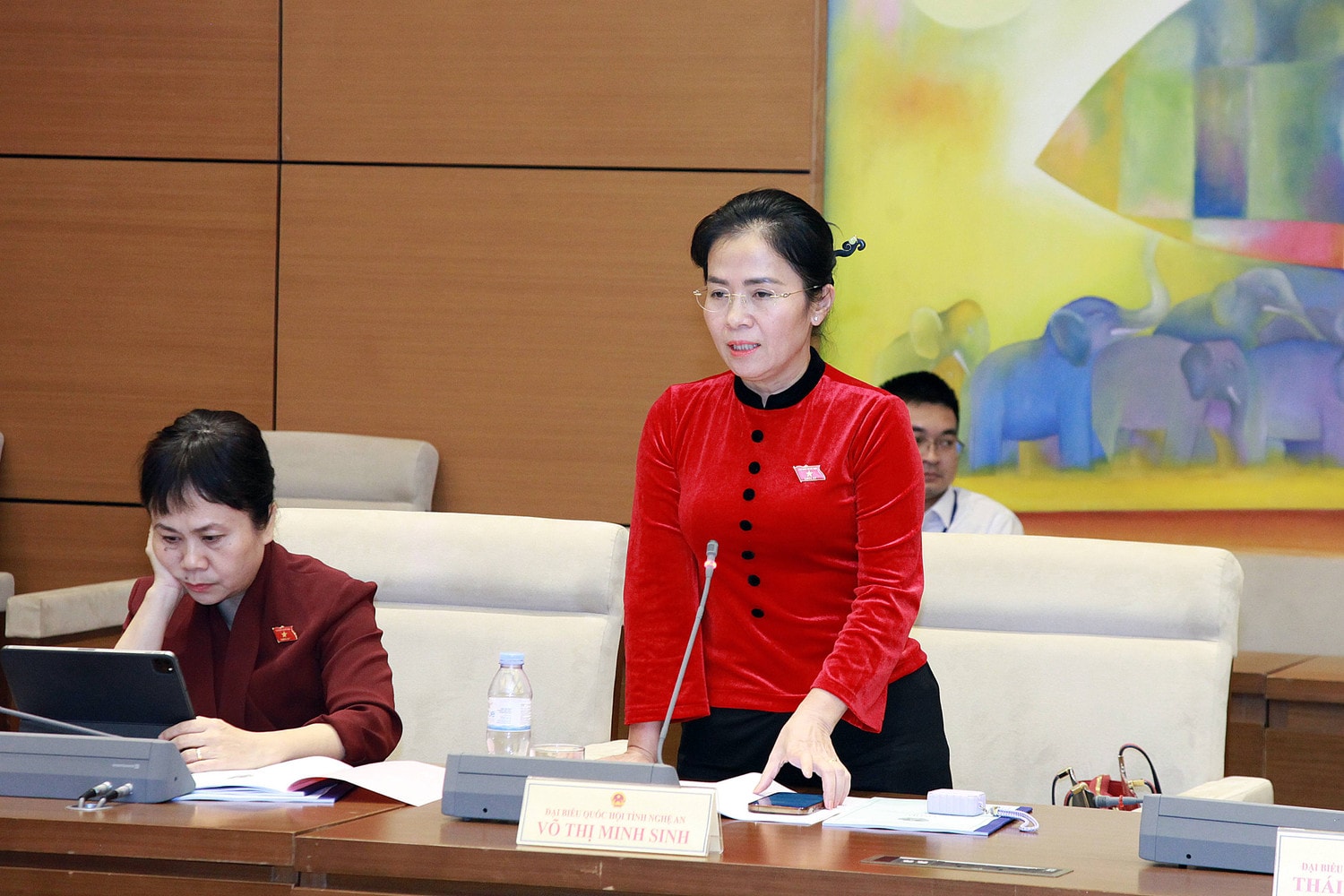 ĐBQH Võ Thị Minh Sinh phát biểu. Ảnh: Khắc Ngọc Đoàn ĐBQH tỉnh Nghệ An triển khai chương trình hoạt động năm 2024 -0