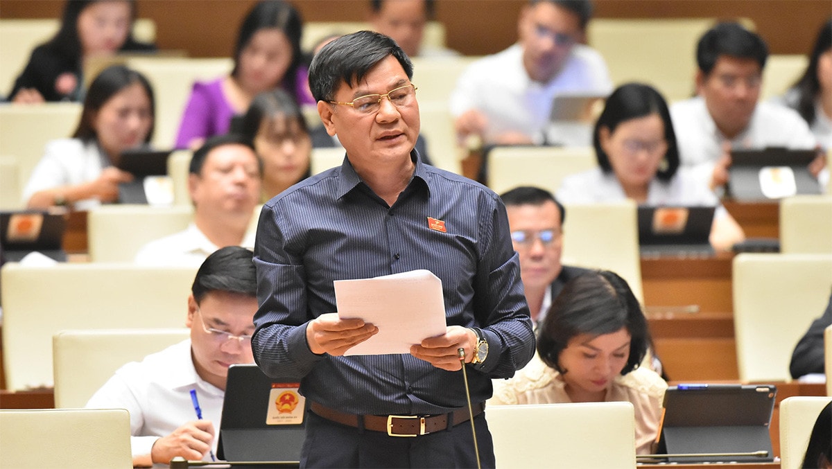Tránh khoảng trống pháp luật về đấu giá tài sản -0